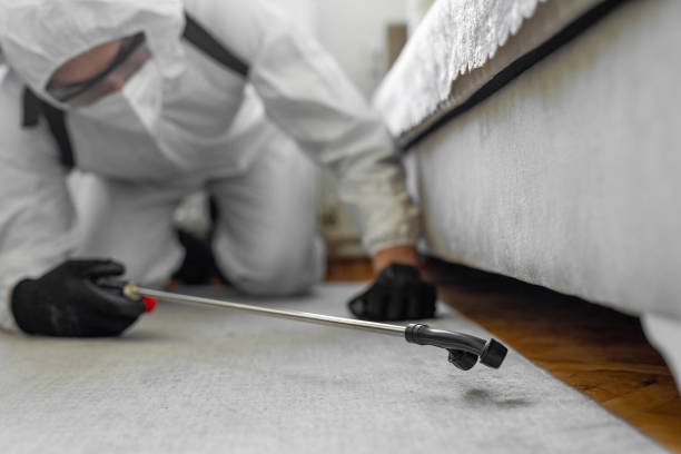 Professional Bed Bug Control technician working in Fulton County County, PA